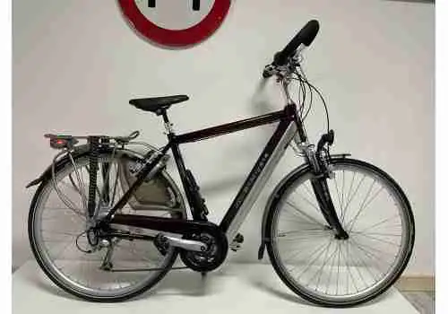 Tweedehands Elektrische fiets Apeldoorn. Groot aanbod e-bikes, rijklaar  afgeleverd | De Fietsenmaker Apeldoorn