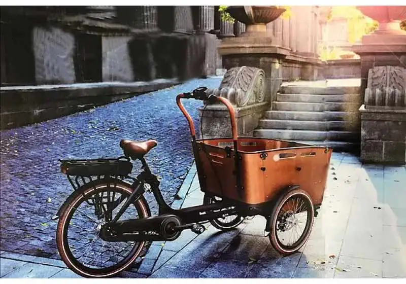 Vogue Elektrische Bakfiets Carry 3 Zwart Bruin | De Fietsenmaker Apeldoorn